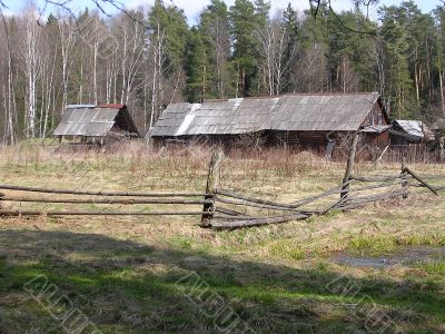 House in the forest