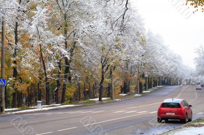 Winter came to town