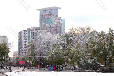 Winter came to town