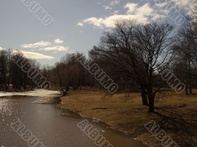 Early spring in a park