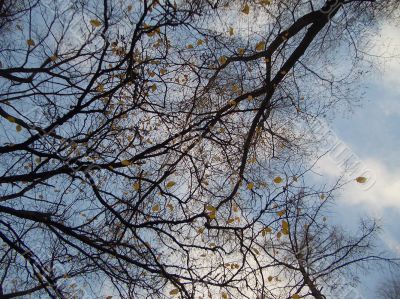 Autumn