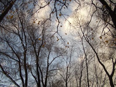 Autumn