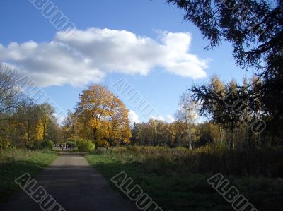 Autumn