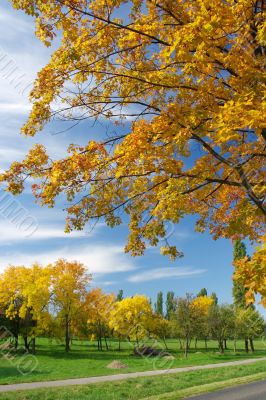 Autumn