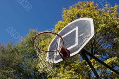 Basketball Dunk