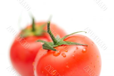 Tomatos