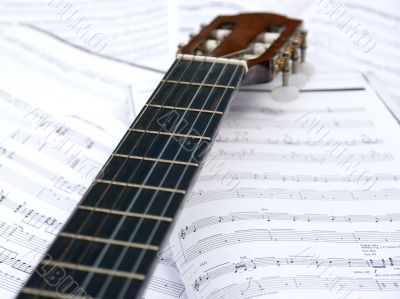 Guitar