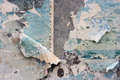 Texture
