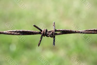 Closeup of rusty barbed wire