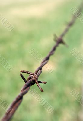 Detail of rusty barbed wire