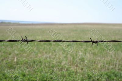 Rusty barbed wire fence detail
