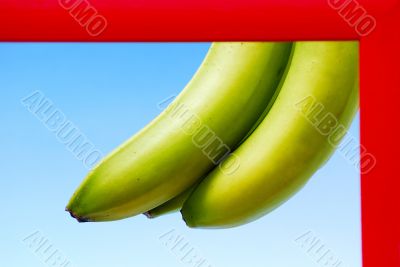 bananas
