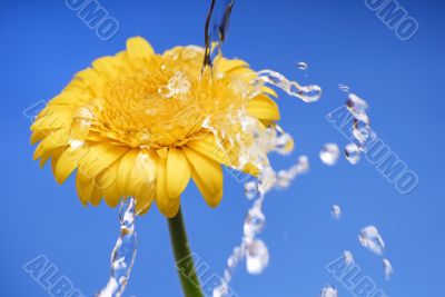 Beautiful splash