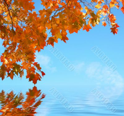 Autumn scene