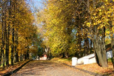Autumn alley