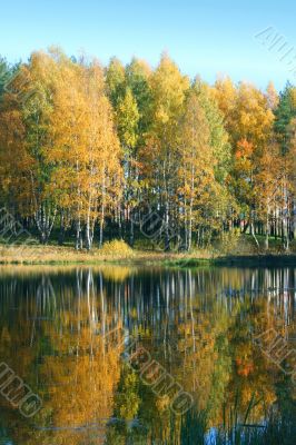 Autumnal lake