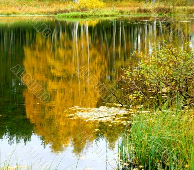 Autumnal lake