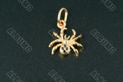 Jewelry spider