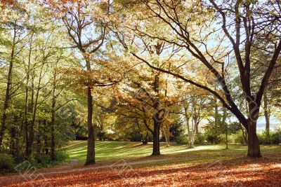 Autumn