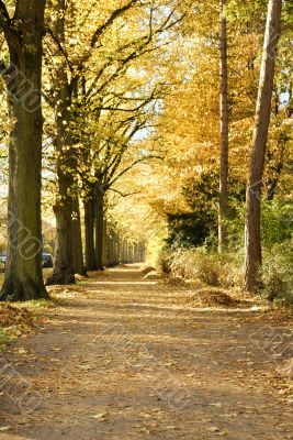 Autumn