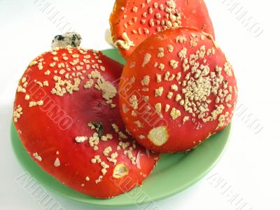 Red mushroom