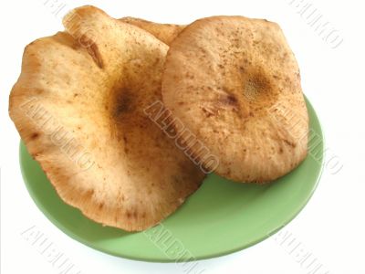 Fungus