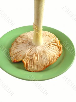 Red mushroom on plate