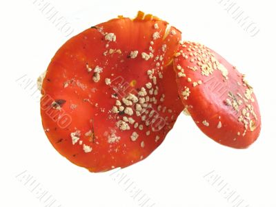 Red mushroom