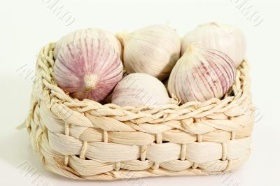 Garlic Bulbs