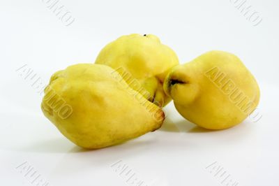 Quinces