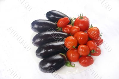 Harvest - tomatoes & eggplant