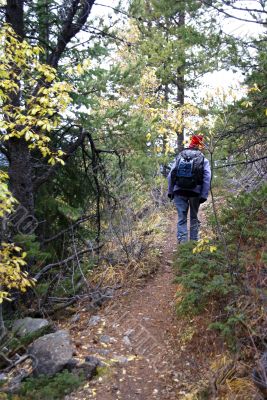 Hiker on mountain trail