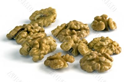 Walnut