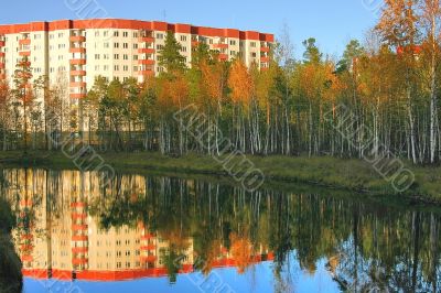 Yellow autumn trees