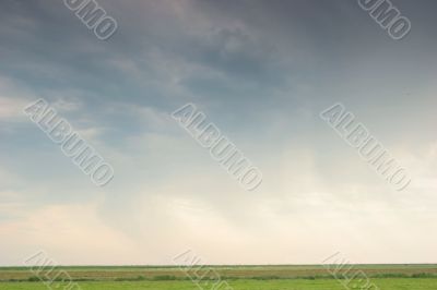 Green grass, cloudy sky