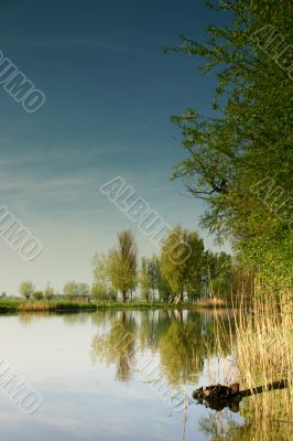 Bright summer day