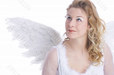 white angel wings