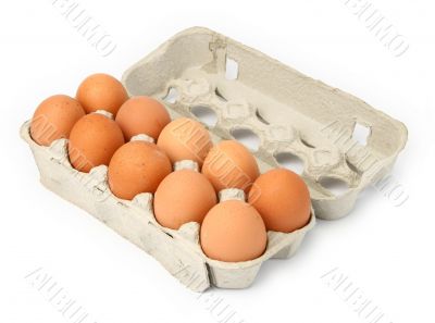 ten eggs in a box