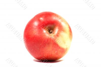 Fresh apple