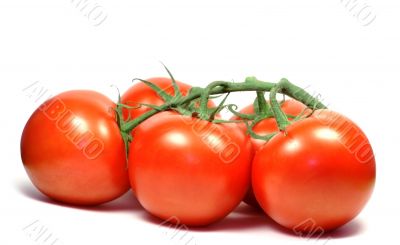Tomatoes