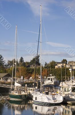 White and Green Sailboats