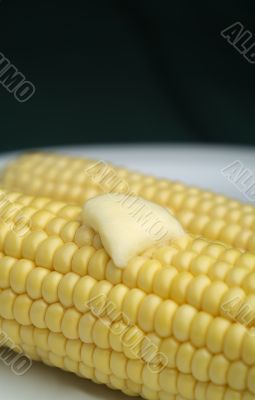 Corn on the cobb with melted butter