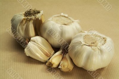 Garlic on brown background