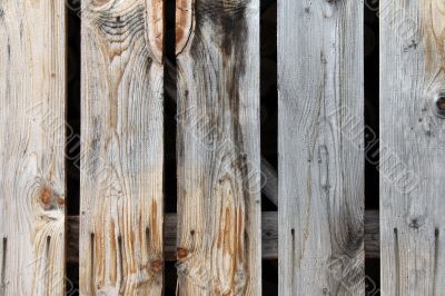 Colorful texture of wooden planks