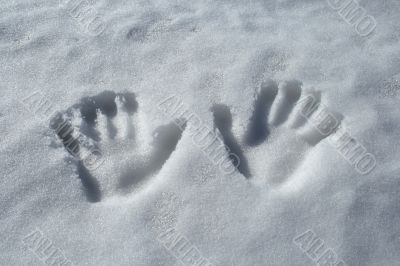Handprints in the snow
