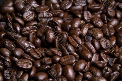 Close up of coffee beans