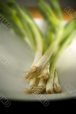 Green Onions on White Palte