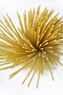 Abstract pasta on white