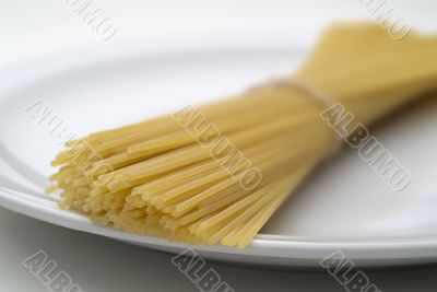 Pasta on White Plate