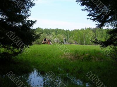 House in the forest